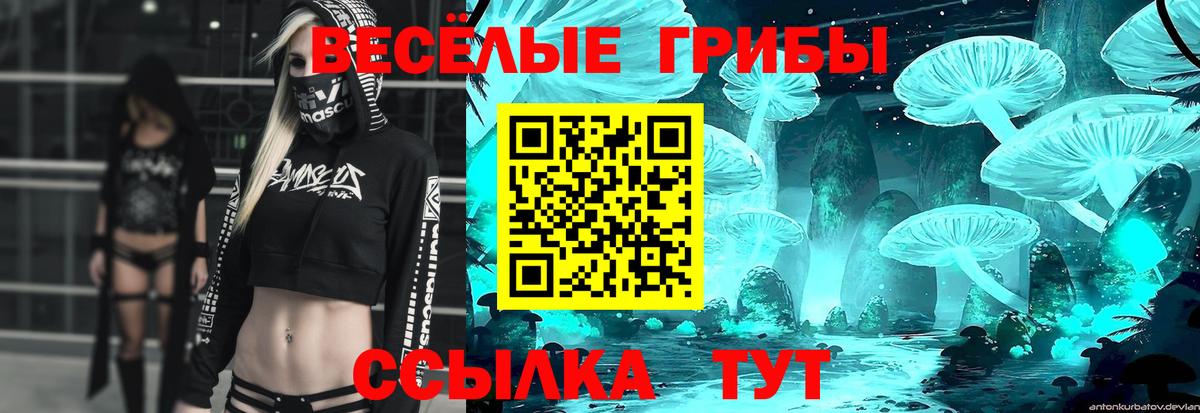 Псилоцибиновые грибы ЛСД  Вход с VPN  Касимов 