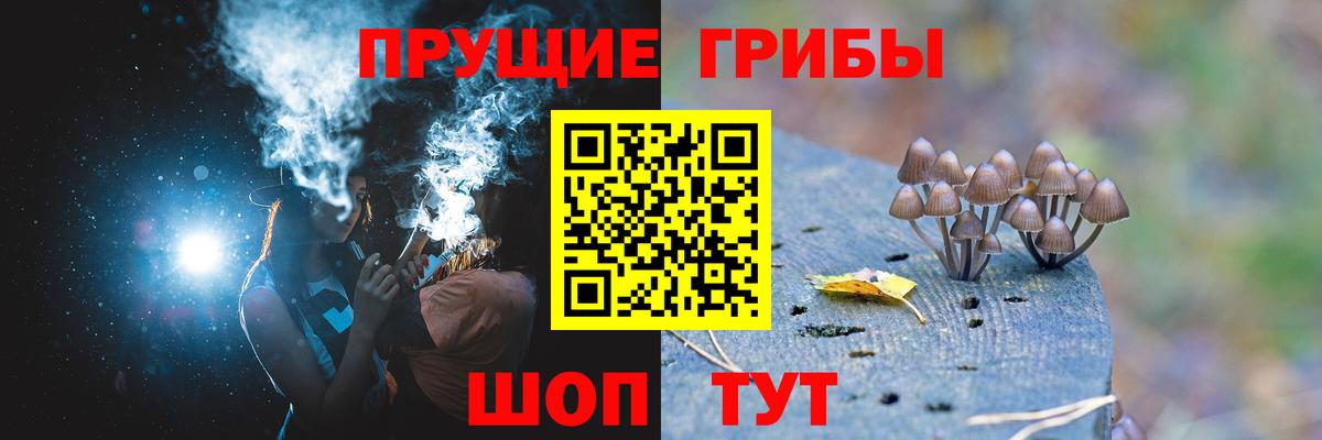 Галлюциногенные грибы Magic Shrooms Касимов